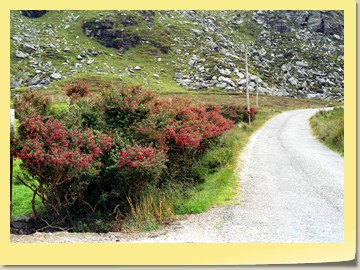 Landschaftsfahrt durch Donegal / NW Irland