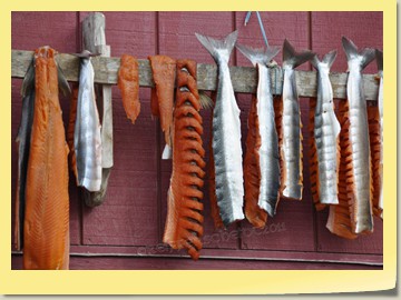 Stockfisch auf Grönländisch