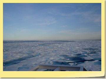 Seetag im Eis