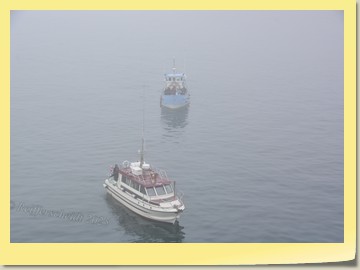 Mit einheimische Booten zu den Eisbergen