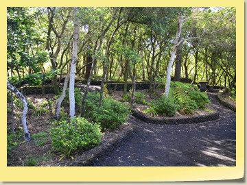 Inselrundfahrt durch das Vulkan-Gebiet